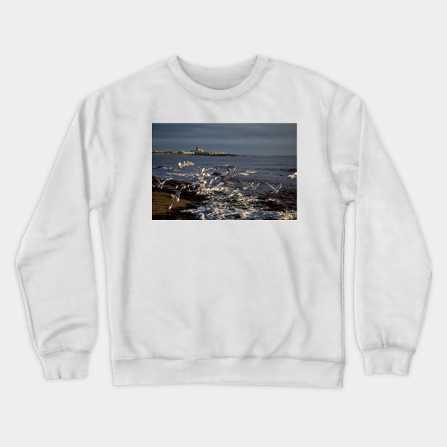 Seagulls feeding amongst the kelp Crewneck Sweatshirt by Violaman